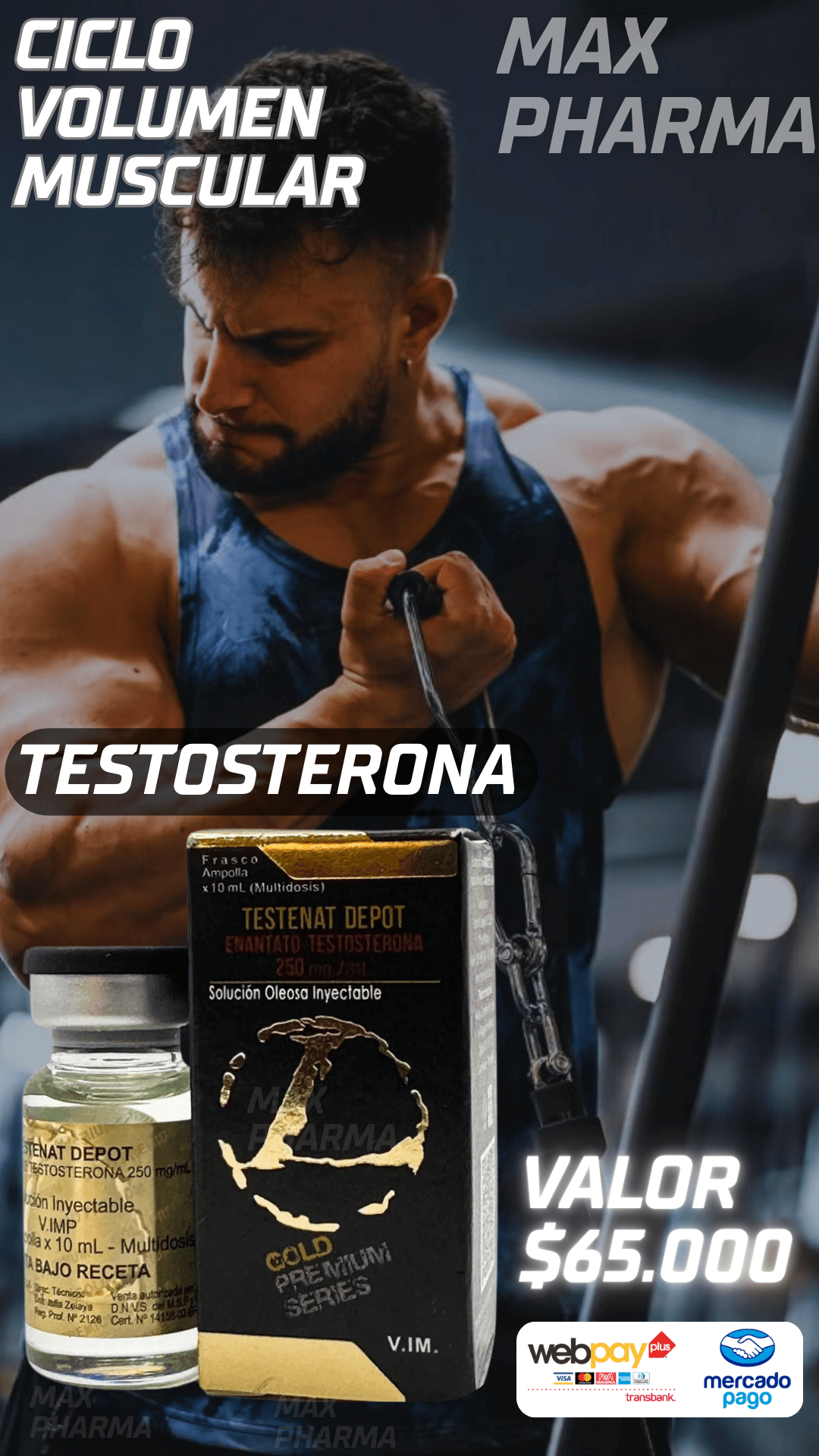 Ciclo Volumen Muscular