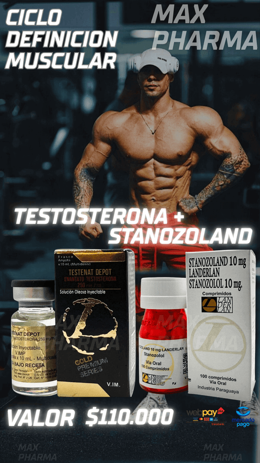 Ciclo Aumento + Definición Muscular