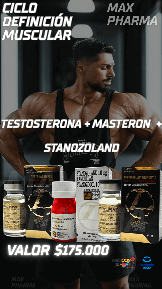 Ciclo Definición Muscular