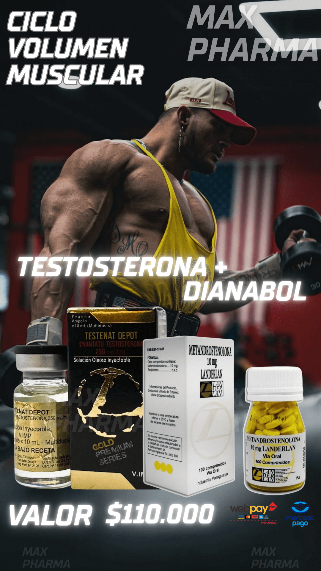 Ciclo Volumen Muscular Testo+Diana