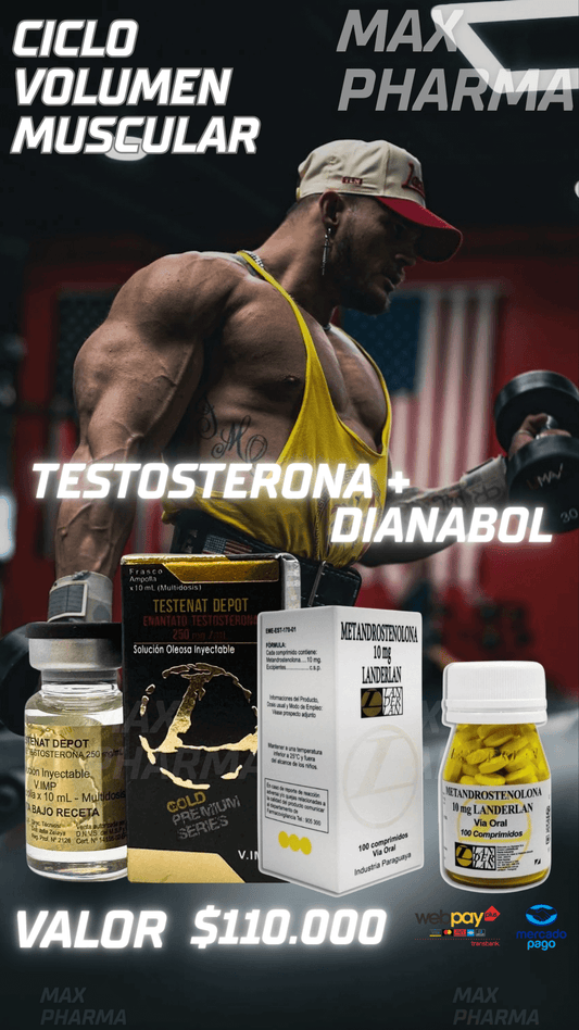 Ciclo Volumen Muscular Testo+Diana