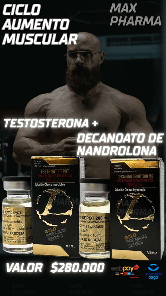 Ciclo Volumen Muscular Testo+Deca II