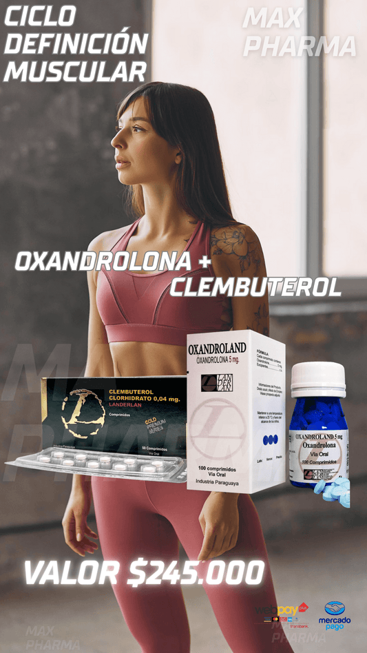 Ciclo Definición Oxa+Clembu II